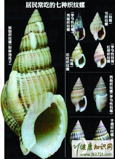织纹螺为什么有毒？吃织纹螺一定会中毒吗？